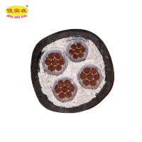 傻实在 电缆 国标全项保检 YJV 4*10 米