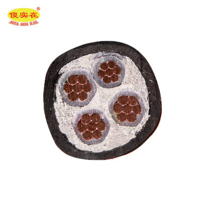 傻实在 电缆 国标全项保检 YJV 4*10 米