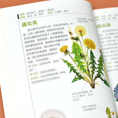 [M]药用植物图鉴-9787553753034