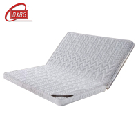 DXBG椰棕床垫家用棕垫B6cm厚折叠(防螨针织+0胶水天然椰棕)1500mm*2000mm