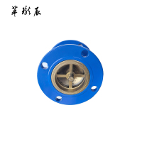 萃珑辰 HC41X消声逆止阀 DN80 个