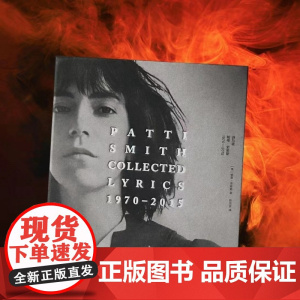 诗与歌:帕蒂史密斯1970-2015 汉英对照 精装典藏版 朋克教母 一頁folio书系 封面为专辑群马肖像局部特写 广