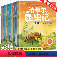 [彩绘美图]法布尔昆虫记(全10册) [正版]法布尔昆虫记全套10册彩绘美图版原著完整版小学生课外阅读一年级二年级三年级