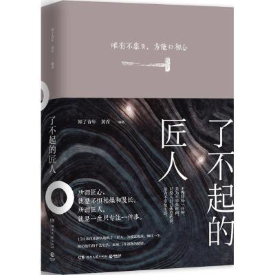 正版新书]了不起的匠人知了青年9787540481612