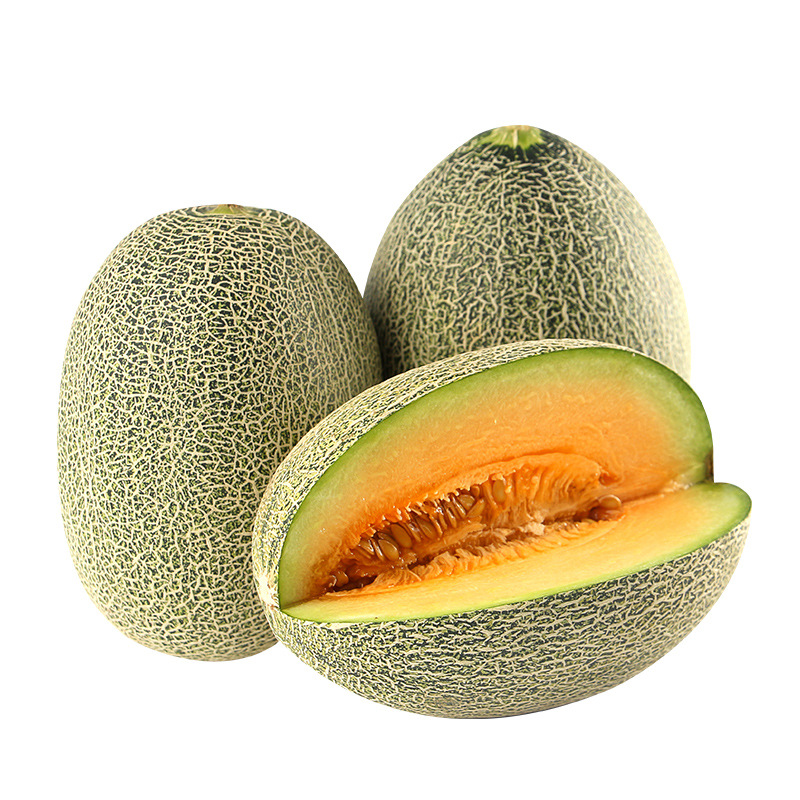 薯家上品 海南哈蜜瓜2-3斤装带箱 西州蜜瓜 小蜜25号 香瓜甜瓜应季