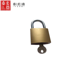 泰炙鼎 通用仿铜挂锁 75mm 个