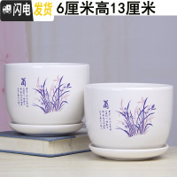 三维工匠花盆陶瓷大号带托盘个性简约创意家用吊兰绿萝多肉陶瓷花 16-蘭两个大号 大花盆容器