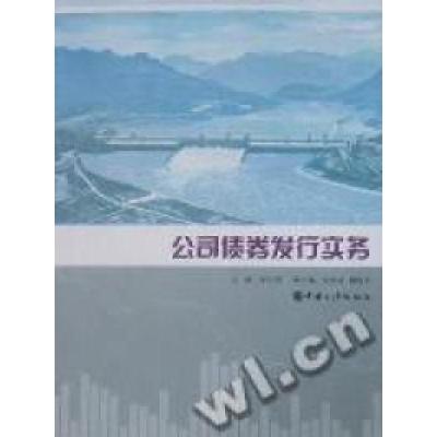 正版新书]公司债券发行实务张定明9787802234031