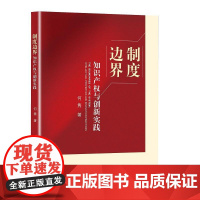 制度边界:知识产权与创新实践