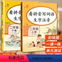 [正版]新版看拼音写词语练写册2二年级上下册 课堂同步语文阅读理解专项训练书一课一练人教版小学默写能手拼读练习生字本课