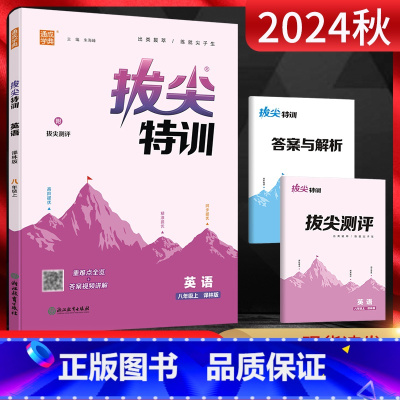 英语 八年级上 [正版]2024秋通城学典拔尖特训英语八年级上册译林版初中初二同步课时作业训练培优班尖子生提优特训练习册