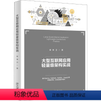 [正版]大型互联网应用轻量级架构实战