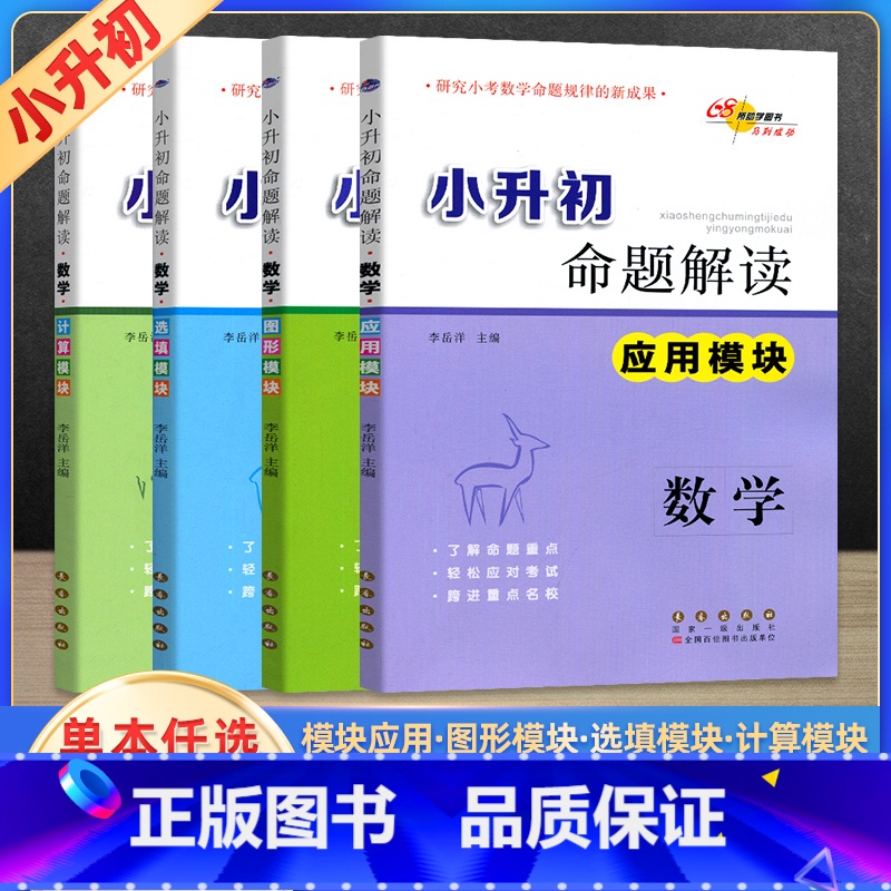 全套(4本) 小学升初中 [正版]2023版小升初命题解读数学图形模块选填模板应用模板计算模板全套4册小学升初中数学应用