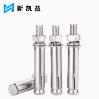 新凯益 304不锈钢膨胀螺丝螺栓 M8*80 个