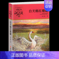 白天鹅红珊瑚 [正版]象母怨沈石溪小学四年级五年级全集全套书浙江少年儿童出版社非注音版完整版动物小说大王品藏书系小学生课
