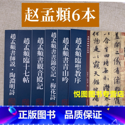 [正版]全6册 赵孟頫临圣教序 临十七帖 诗说陶渊明诗观音殿记 锦堂记 梅花诗 青山吟 黄庭经名碑名帖传承小楷行楷临摹