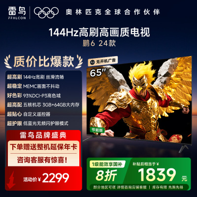 雷鸟鹏6 24款 65英寸电视 家电国家补贴 3+64GB电视机65S375C-JN