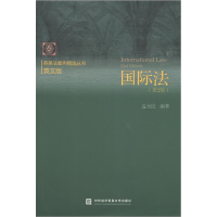 音像国际法(第2版)边永民