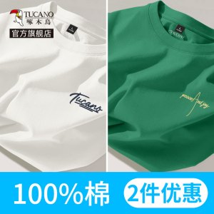 啄木鸟男士t恤夏季重磅纯棉短袖男款2025新款大码宽松男生半袖男Y