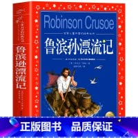 鲁滨孙漂流记 [正版]海豚童书 小王子书 注音版中文儿童绘本经典世界名着1-3年级小学生读物一年级二年级课外阅读带拼音的