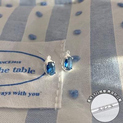 纯银蓝色锆石耳钉轻奢高级感气质大气耳饰精致独特漂亮耳环女送女朋友老婆情人节七夕生日礼物