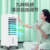奥克斯(AUX)空调扇家里办公强效制冷加湿风扇 广角摆页冷风扇 水冷气扇移动小空调扇LS-100BR 负离子遥控冷风扇