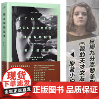新名字的故事 那不勒斯四部曲之一 青春文学埃莱娜费兰特轻小说 我的天才女友后续 青年时代小说 正版书籍