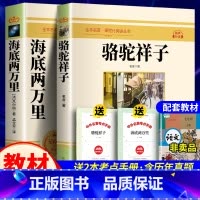 全2本 海底两万里+骆驼祥子+考点 [正版]骆驼祥子老舍原著 七年级下册课外阅读书名著 七年级下册语文书目老师初中课外阅