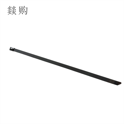 燚购304不锈钢自锁式扎带10*700mm 根