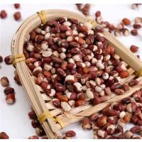 鑫牧盟豇豆/斤(散装分袋)