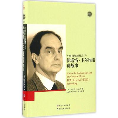 正版新书]在骄阳和新月之下(美)安吉拉·M.让内(Angela M.Jeannet
