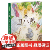 至美童话殿堂:丑小鸭