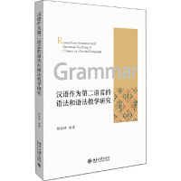 音像汉语作为第二语言的语法和语法教学研究杨德峰