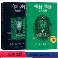 哈利波特斯莱特林学院版4-5 [正版]哈利波特20周年学院版斯莱特林平装版4-5部火焰杯凤凰社套装纪念版哈迷收藏版完整复
