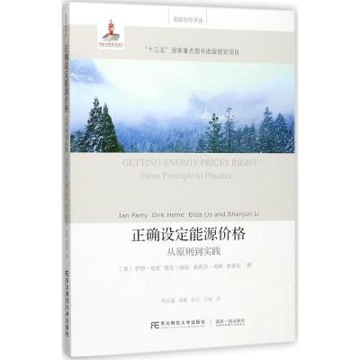 正确设定能源价格