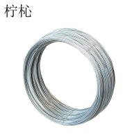 柠杺 镀锌铁丝 20号-1mm 9.2kg 捆