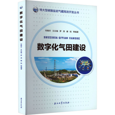 数字化气田建设