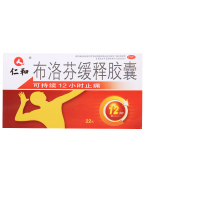 仁和 布洛芬缓释胶囊0.3g*22粒/盒 关节痛牙痛肌肉痛神经痛感冒发热