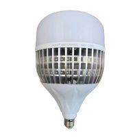 洛安斯 LED灯泡球泡灯 200W 个