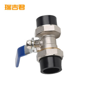 瑞吉君 PE双活接球阀 63mm 个