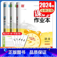 [四年级下]语数英3本套装江苏专用 四年级下 [正版]2024秋小学课时作业本一二三四五六年级上册下册语文数学英语科学人