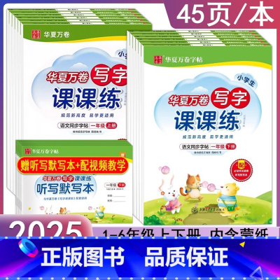 一年级下册 [正版]2025小学生临摹练字帖1一2二3三4四5五6六年级上下册语文同步字帖人教版笔画笔顺生字描红写字课课