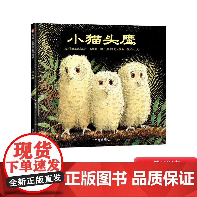 小猫头鹰硬壳精装绘本信谊精选图画书适合3岁以上儿童课外阅读书籍正版童书