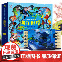 牙齿立体书儿童3d立体书宝宝机关书3到4-6-8岁精装硬壳益智早教书启蒙翻翻书儿童绘本故事科普图书籍小学生幼儿园小中大班