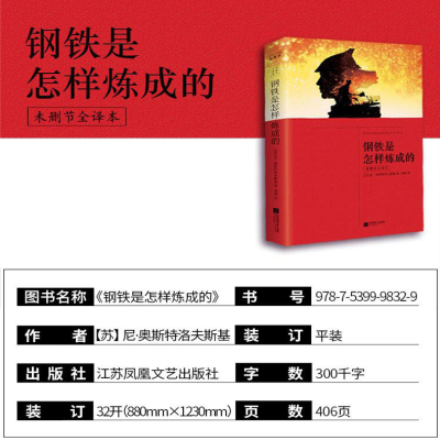 [M]钢铁是怎样炼成的-9787539998329