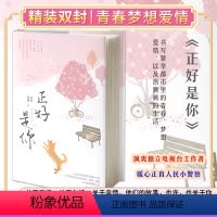 [正版]精装丨正好是你 江天雪意现代题材小说电视台工作者×人民小警察 关于青春、梦想、爱情甜文小清新都市言情小说书籍