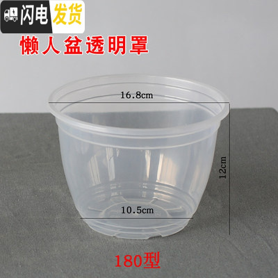 三维工匠花盆大号塑料透明罩懒人自动吸水花盆绿萝专用储水双层 180单独透明罩[5个装] 大花盆容器