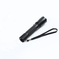 和齐顺(Hikesun)HQS-SD7622 2W LED巡检手电 (计价单位:个)黑色