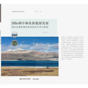 正版新书]国际碳中和及新能源发展 相关多重政策机制的相互作用