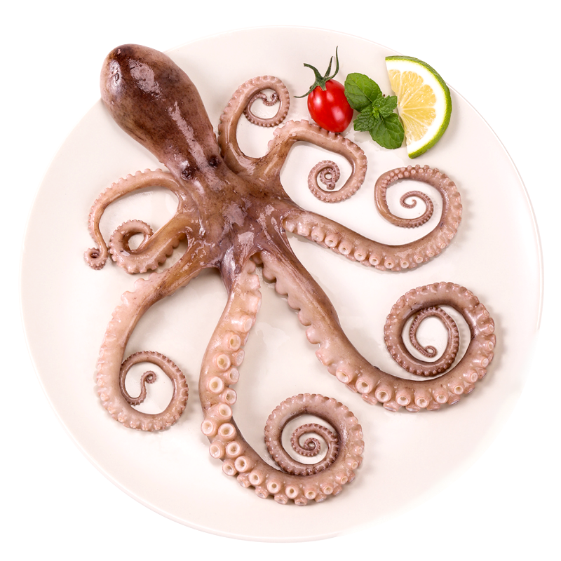 [四海生鲜]东海海捕章鱼新鲜八爪鱼烧烤火锅刺身料理 新鲜海鲜水产